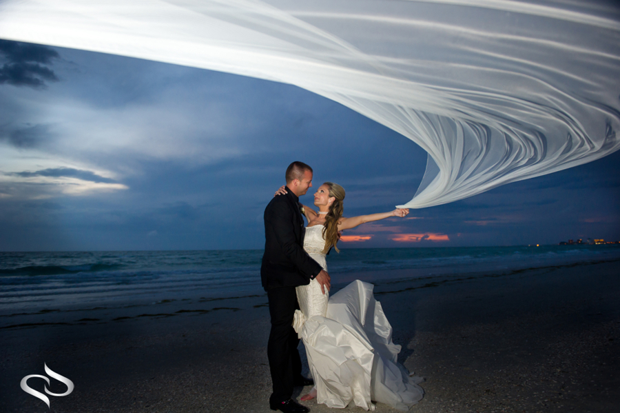 Wedding Veil picture