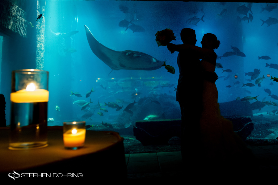 Bride and Groom at Fathoms Atlantis resort bahams